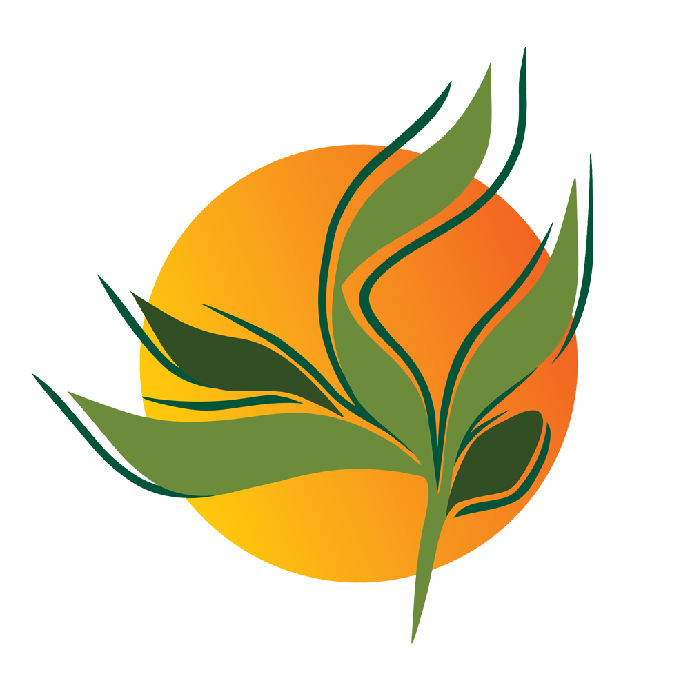 رستوران برکت