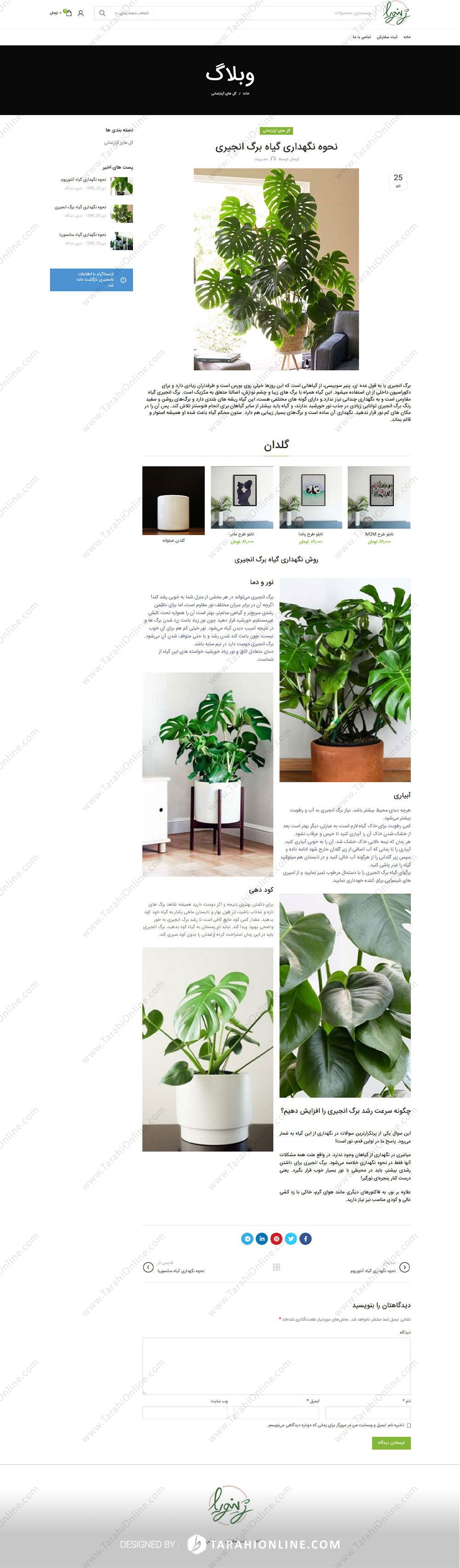 طراحی سایت فروشگاهی ژینورا - تصویر 4