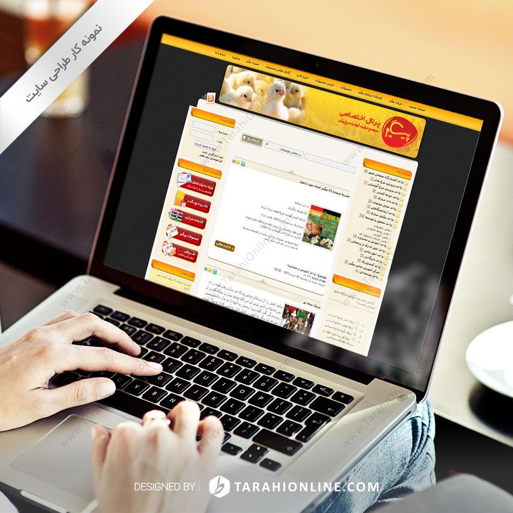 طراحی سایت پرتال اختصاصی مجتمع تولید گوشت مرغ پیگیر