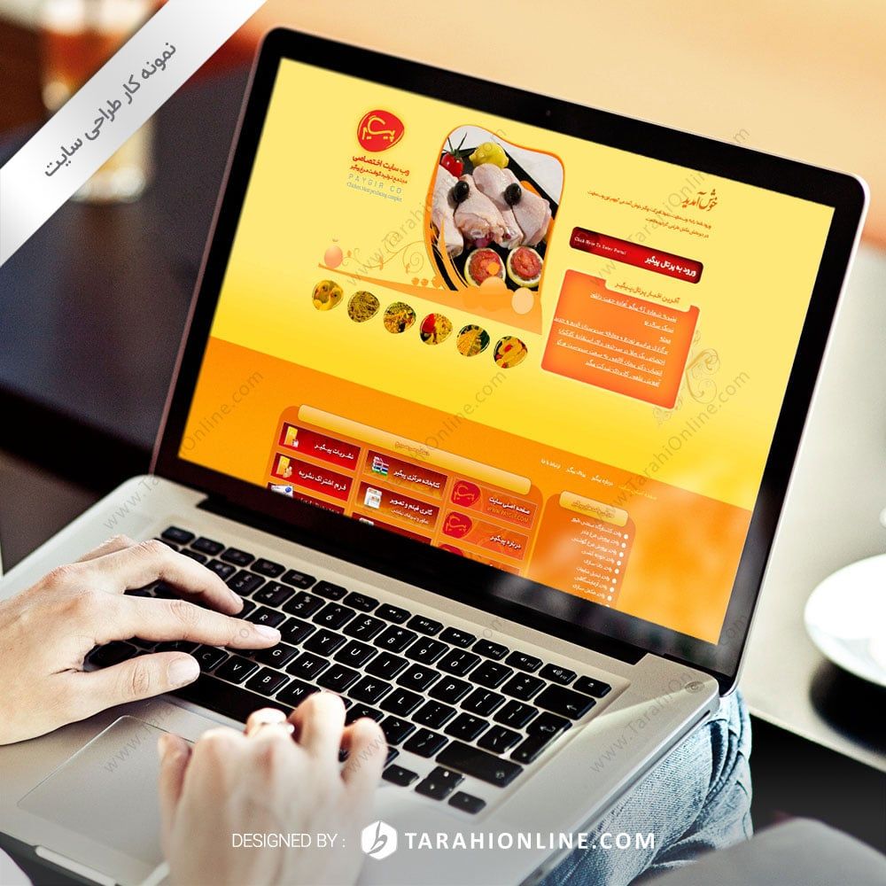 طراحی سایت زنجیره تولید گوشت مرغ پیگیر - نسخه اول