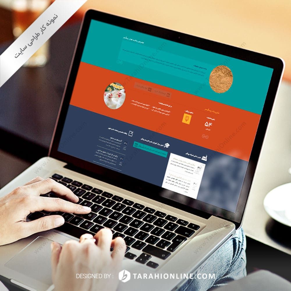 طراحی سایت زنجیره تولید گوشت مرغ پیگیر - نسخه دوم - تصویر 2